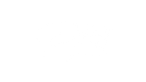 ThePynkPalace